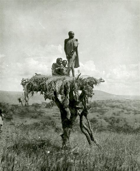 Abyssinia, live scare crows near Muger River - Image Archives