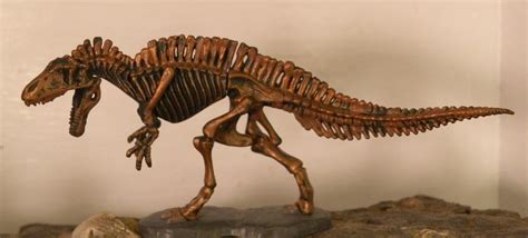 Acrocanthosaurus Skeleton (Kaiyodo Dinotales Series 3) | Dinosaur Toy Blog