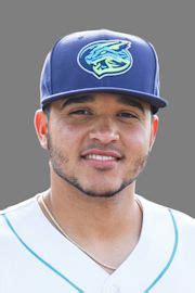 Yainer Diaz Stats, Age, Position, Height, Weight, Fantasy & News | MiLB.com