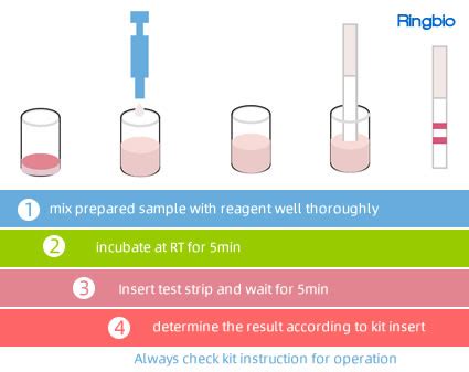 Nitrofurans AOZ/AMOZ/AHD/SEM 4-in-1 QuaTest, Nitrofurans Metabolite rapid test kit