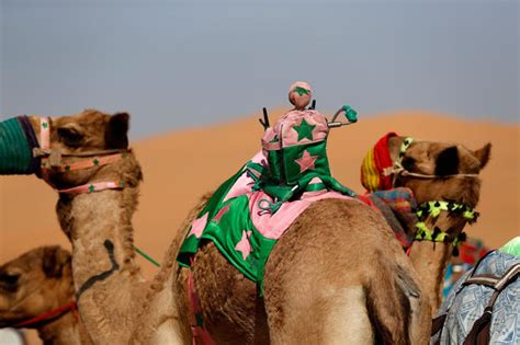 Liwa Sports Festival - Camel racing in the UAE - CBS News