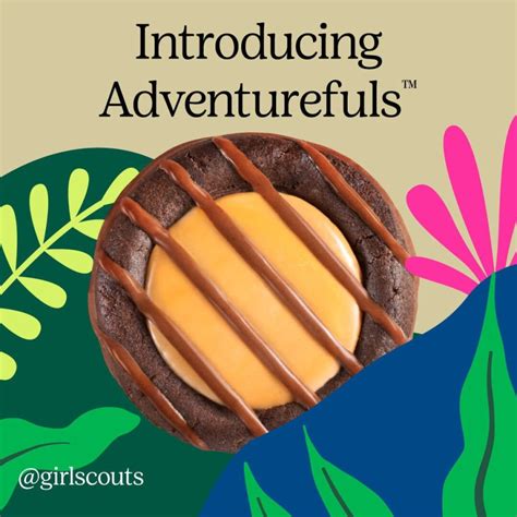 “Tagalong” with new “Adventureful” Girl Scout cookie! – The Hiller