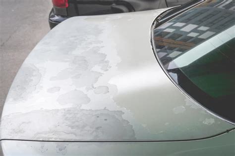 Restoring Faded and Oxidized Car Paint | Toyota of North Charlotte