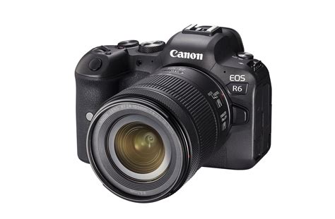 Canon EOS R6 Mirrorless Camera | lupon.gov.ph