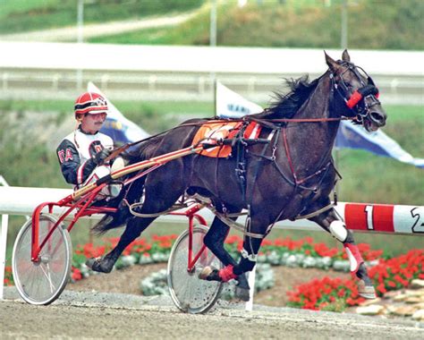 World's fastest pacing harness horse dies on Kentucky farm - Sports Illustrated