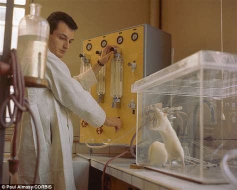 Is this why women are more scared of mice? Scientists find rodents are ...