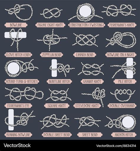 Set of nautical rope knots Royalty Free Vector Image