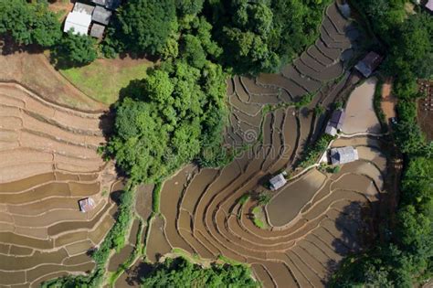 Terraced Rice Paddy Field in Chiang Mai, Thailand Stock Photo - Image of farm, mountain: 156332192