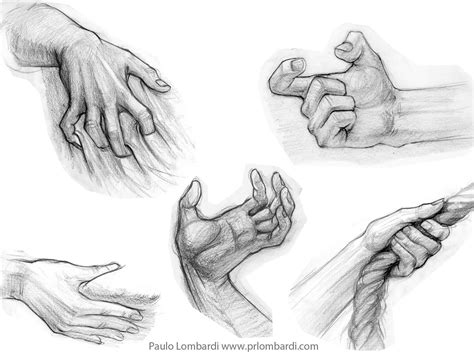 Pencil Drawings Of Human Hands - pencildrawing2019