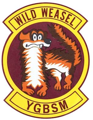 What is a Wild Weasel? > National Museum of the US Air Force™ > Display