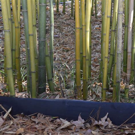 Bamboo Shield - 100 mil thick by 36in depth - Lewis Bamboo