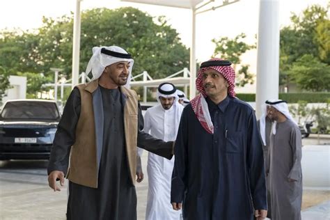 UAE President receives Prime Minister of Qatar