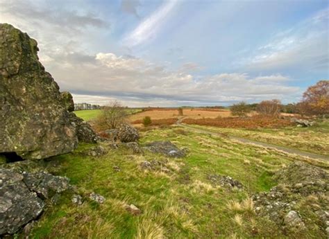 Charnwood Forest Landscape Partnership Scheme | Leicestershire and Rutland Wildlife Trust