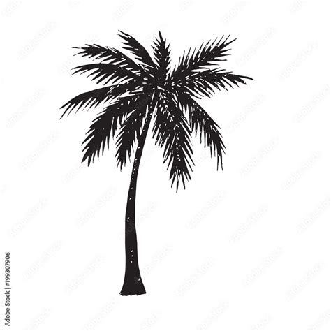 Palm tree silhouette, hand drawn doodle, sketch in pop art style, black ...