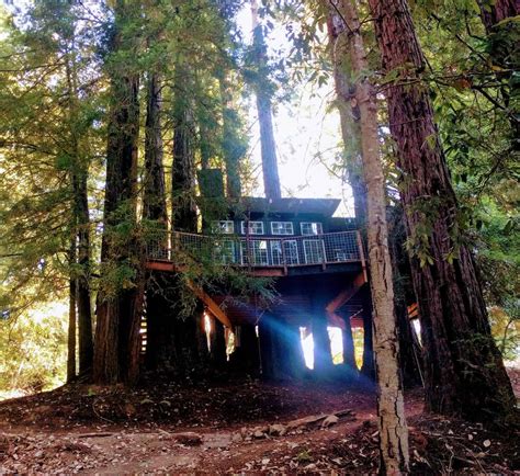 30 Dreamy Treehouse California Vacation Rentals