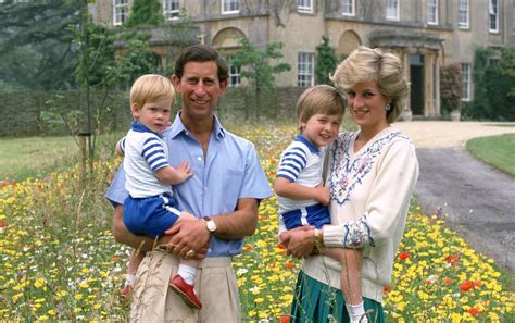 Harry et William, divorce à l’anglaise : l’enfance contrariée des ...