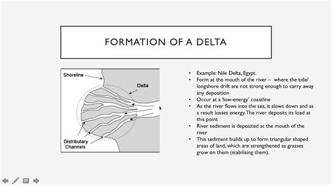 Rivers - River Delta Formation - YouTube