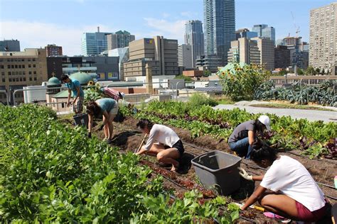 Green roof urban farming for buildings in high-density urban cities | Duron Chavis