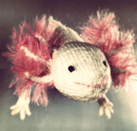 knitted axolotl pattern! | Axolotl, Knitting patterns, Animal knitting ...