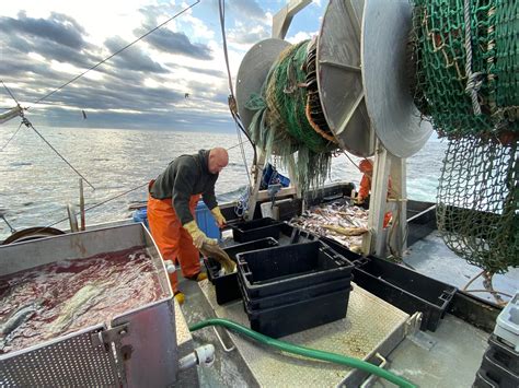 Industry Collaboration Fuels New Fishing Technology - Gulf of Maine ...