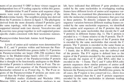 —Phylogeny of the Paramyxoviridae based on amino acid sequences of the... | Download Scientific ...