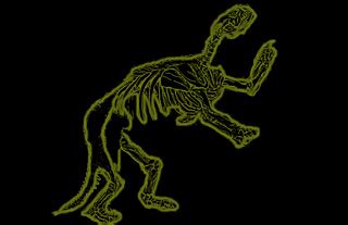 Dinosaur photos and images,fossil pictures, bones and skeletons, various models of dinosaurs ...