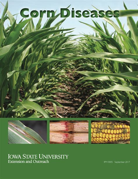 New Corn Diseases booklet available | Integrated Pest Management