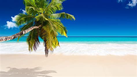 Tropical Beach Wallpapers, Pictures, Images