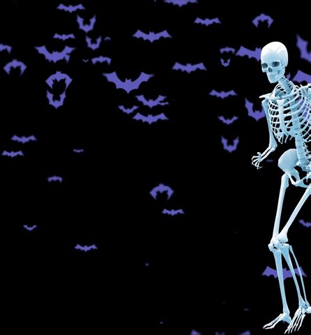 Halloween Skeleton GIF by Super Deluxe - Find & Share on GIPHY