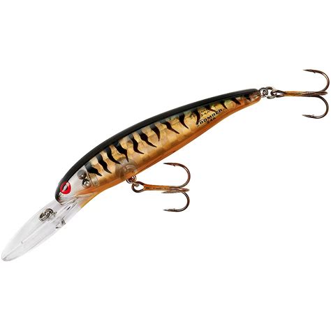 BOMBER Lures Deep Long 24A Bait | Academy