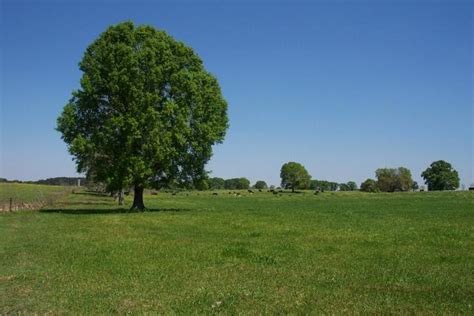 Parker Dairy Rd, Forestburg, TX 76239 - Land For Everyone