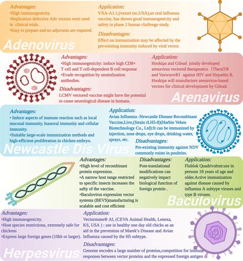 Frontiers | Advances in Development and Application of Influenza Vaccines