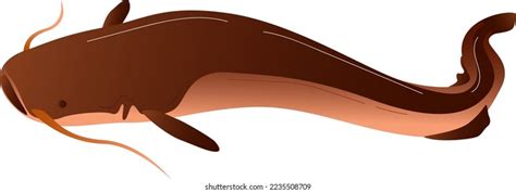 Cartoon Seal Sea Animal Arctic Sea Stock Vector (Royalty Free) 2401968873 | Shutterstock