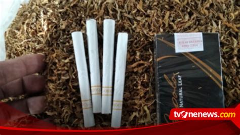 Wow! Warga Kudus Ciptakan Rokok Berbahan Baku Daun Talas