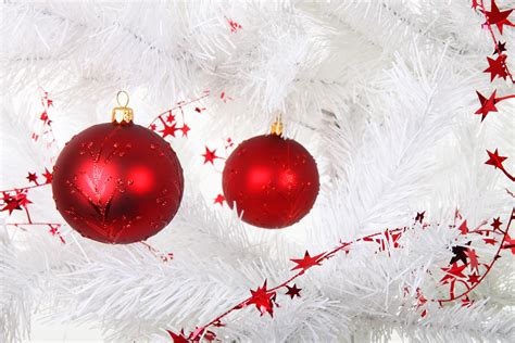 Free Images : branch, winter, white, petal, celebration, red, holiday, hanging, object, fir ...