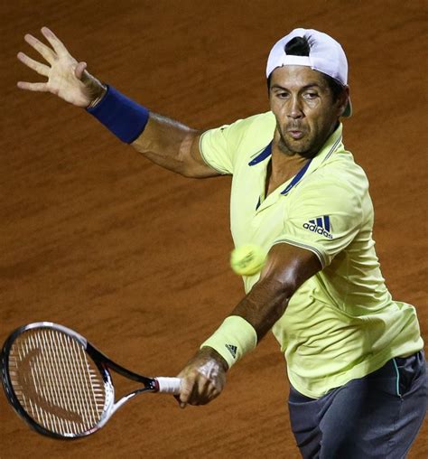 Fernando Verdasco | Fernando verdasco, Tennis players, Tennis racket