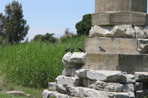 The Temple Of Artemis | John Beckett