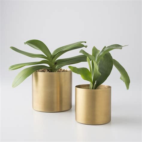 Brass Planter - Modern - Indoor Pots And Planters - by Schoolhouse Electric