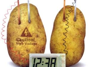 Potato Battery Experiment with Hypothesis and Conclusion