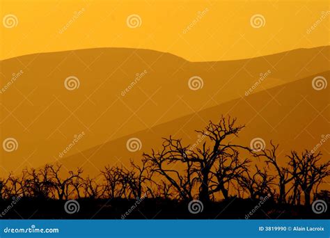 Dig for fire stock photo. Image of deserted, feelings - 3819990