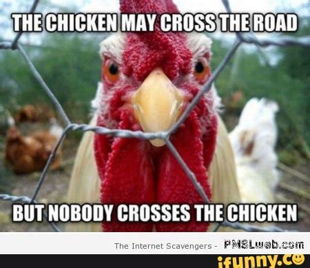 #funnymeme #funny #memes #meme #funnymemes - THE CHICKEN MAY CROSS THE ...