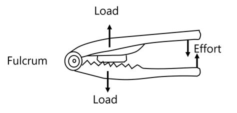 Draw a diagram to illustrate the positions of fulcrum, load and effort ...