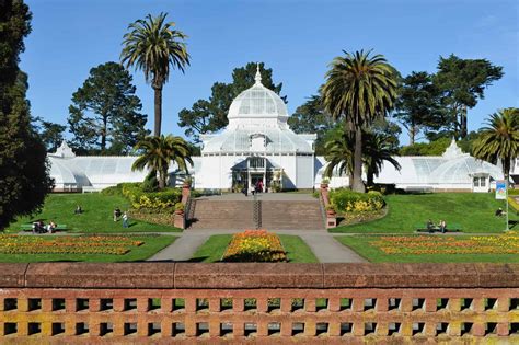 Guide to Golden Gate Park in San Francisco for Families - Trekaroo ...