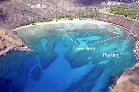 Hanauma Bay in Oahu, Hawaiian Islands | ShoreDiving.com - Scuba Diving and Snorkel Reviews, Maps ...