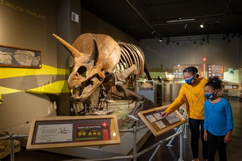 Gift Memberships - Buffalo Museum of Science