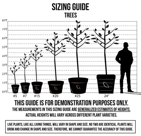 Plant Sizing Guide | C&J Gardening Center