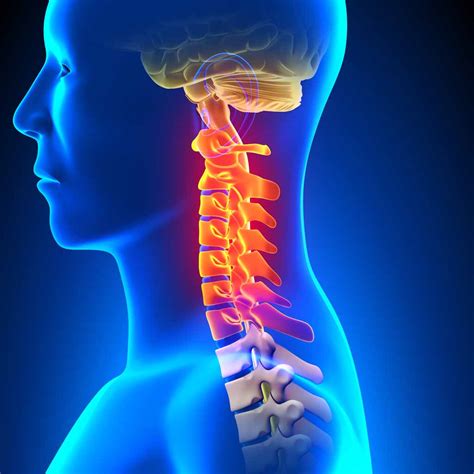 Cervical Spine - Chiropractic Healing Center