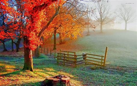 November Scenery Wallpapers - Top Free November Scenery Backgrounds ...