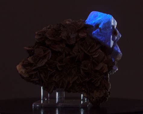 3.9" Orange Gold SCHEELITE Gemmy Octahedral Crystal on Muscovite - Fluoresces Blue! $125 ...