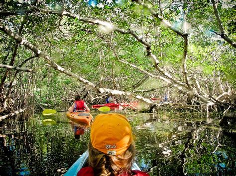 Big Pine Key Adventures: Kayaking in the Florida Keys - Camels ...